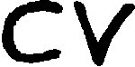 curriculum vitae